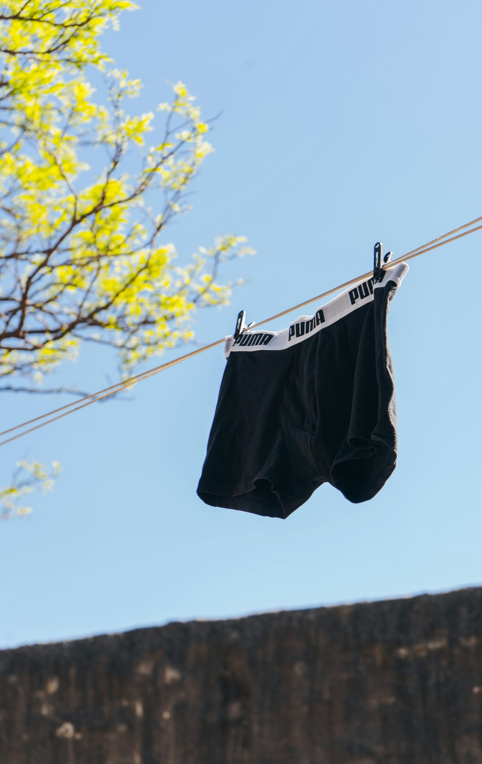 boxers hanging from clothes line drying