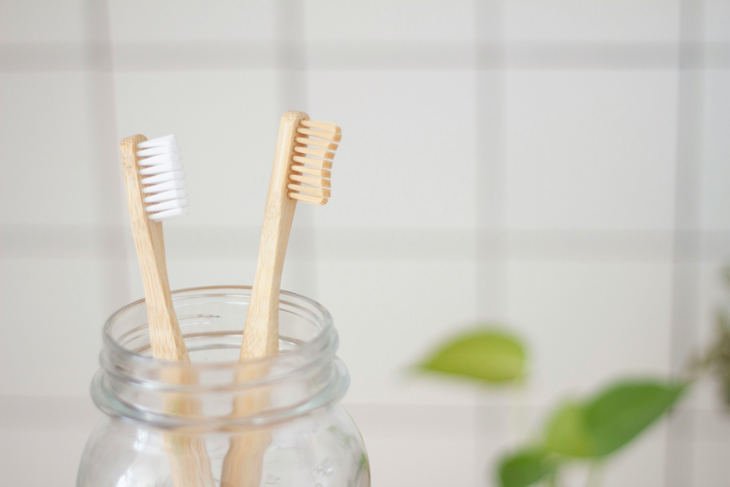 two bamboo toothbrushes sitting in a jar. Embracing the best zero waste toothpaste brands